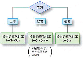 生育基盤厚さの選定フロー