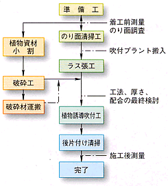 植物誘導吹付工施工フロー