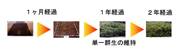 植生基材吹付工